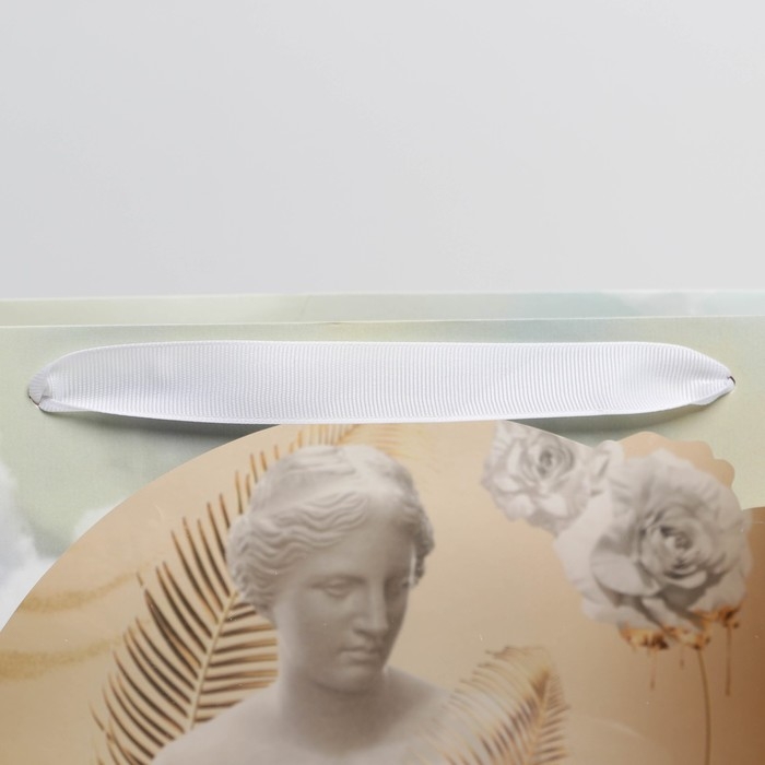 Пакет подарочный ламинированный с пластиковым окном, упаковка, &laquo;Нимфа&raquo;, 32,5 х 26,5 х 13,5 см