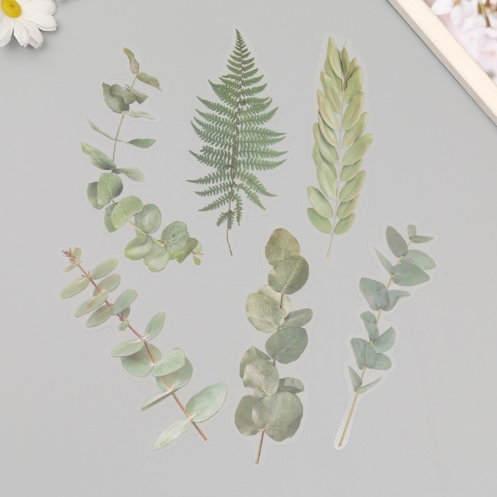 Наклейки пластик Наклейки пластик "Листья и цитаты. Зеленые" набор 12 шт 8,5х21,5х0,2 см