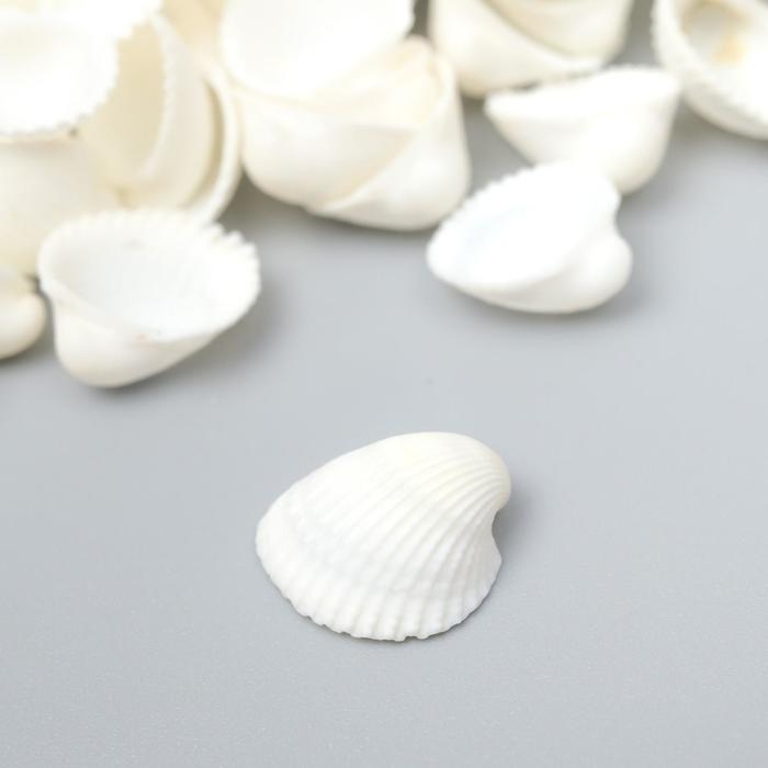 Декоративные ракушки  Декоративные ракушки "Clam Rose" 100 гр