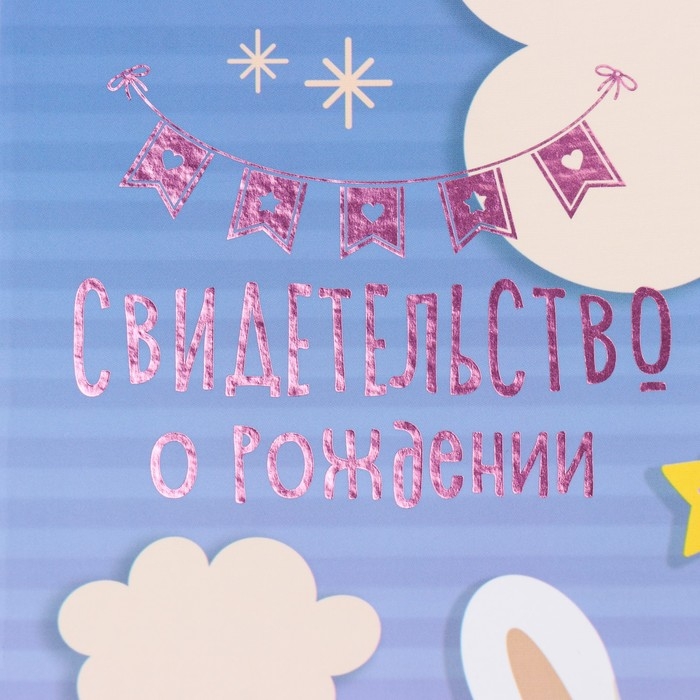 Свидетельство о рождении Свидетельство о рождении "Кролик" тиснение, облака А5