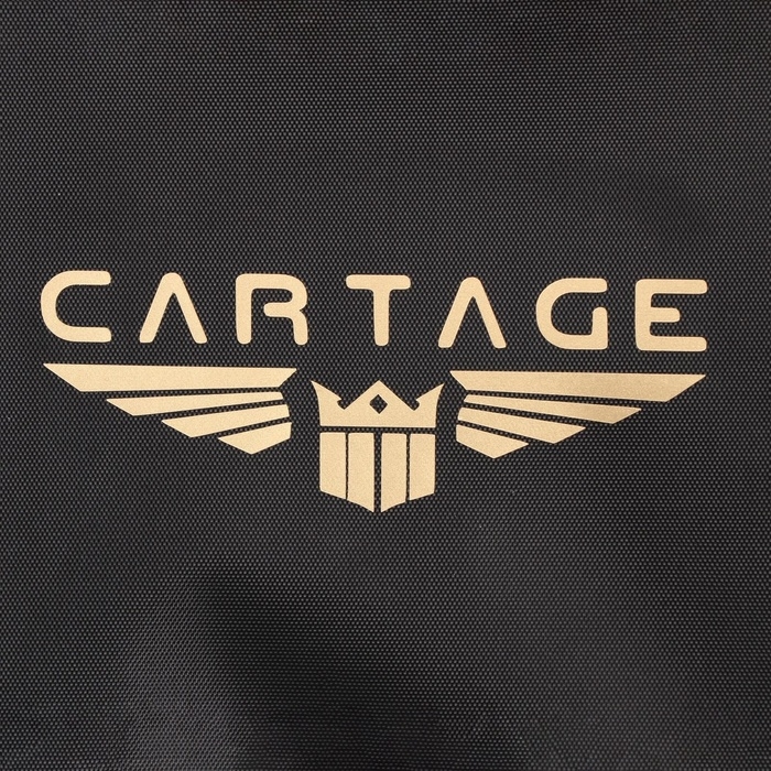 Термосумка Cartage Т-10, черная, 18 л, 35х21х24 см Термосумка Cartage Т-10, черная, 18 л, 35х21х24 см
