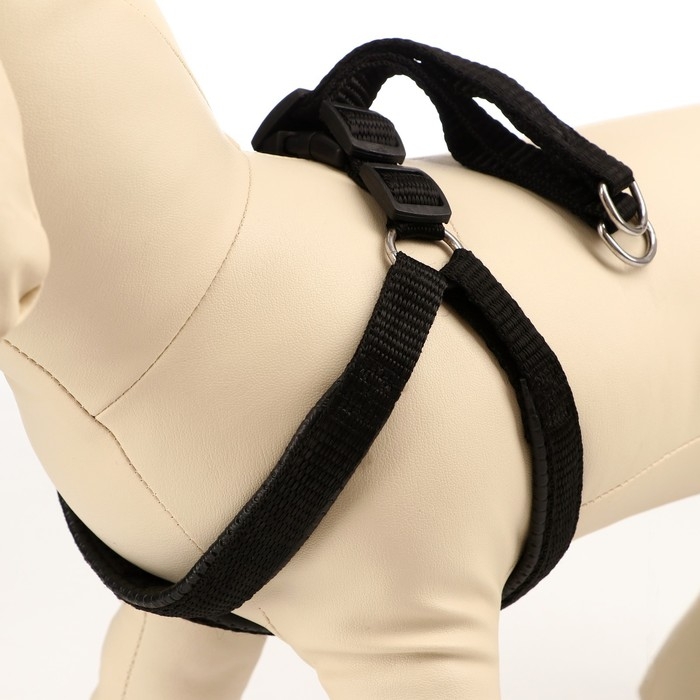 Шлейка Шлейка "Комфорт" комбинированная, 1,5 см, ОШ 36-50 см, ОГ 40-56 см, чёрная