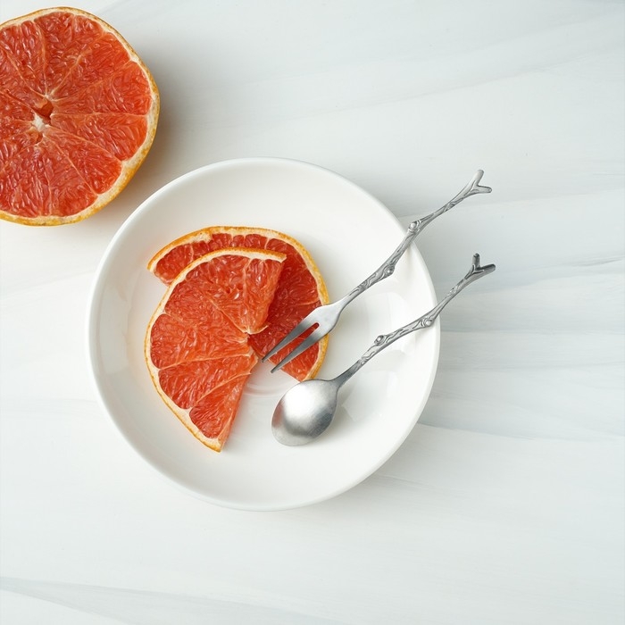 Набор столовых приборов из нержавеющей стали Magistro «Вудс», 2 предмета, цвет серебряный Набор столовых приборов из нержавеющей стали Magistro «Вудс», 2 предмета, цвет серебряный