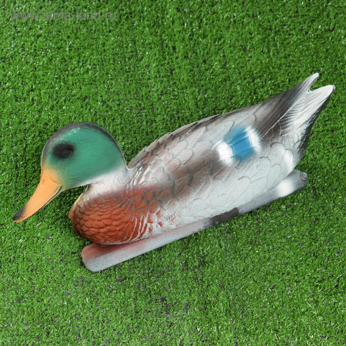 Фигура подсадная  Фигура подсадная "Кряква" селезень