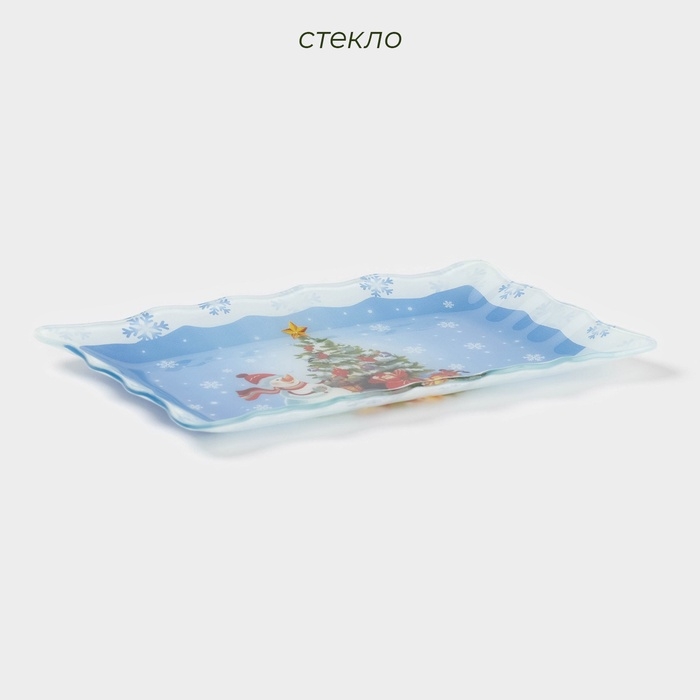 Блюдо стеклянное прямоугольное Доляна «Зимняя сказка», 25×15 см Блюдо стеклянное прямоугольное Доляна «Зимняя сказка», 25×15 см