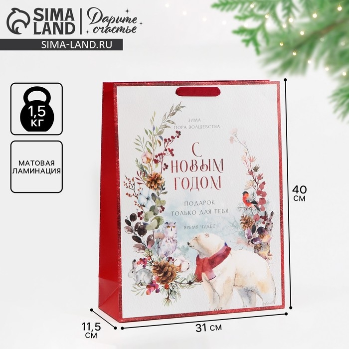 Пакет подарочный новогодний ламинированный «Время чудес», L 31 х 40 х 11,5 см, Новый год Пакет подарочный новогодний ламинированный «Время чудес», L 31 х 40 х 11,5 см, Новый год