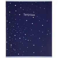 Тетрадь 10 штук, 12 листов в косую линейку Calligrata &laquo;Монохром&raquo;, серые листы, блок №2, 5 видов