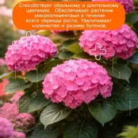 Удобрение минеральное для цветов и декоративных кустарников, Dr.Grunt