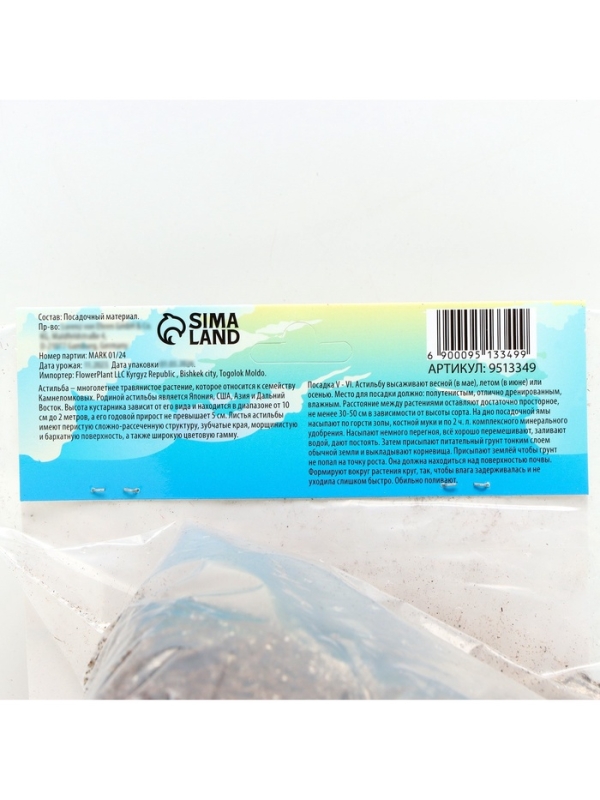 Астильба Арендса Brautschleierмноголетник, корневище в торфогрунте р-р II, 2 шт.