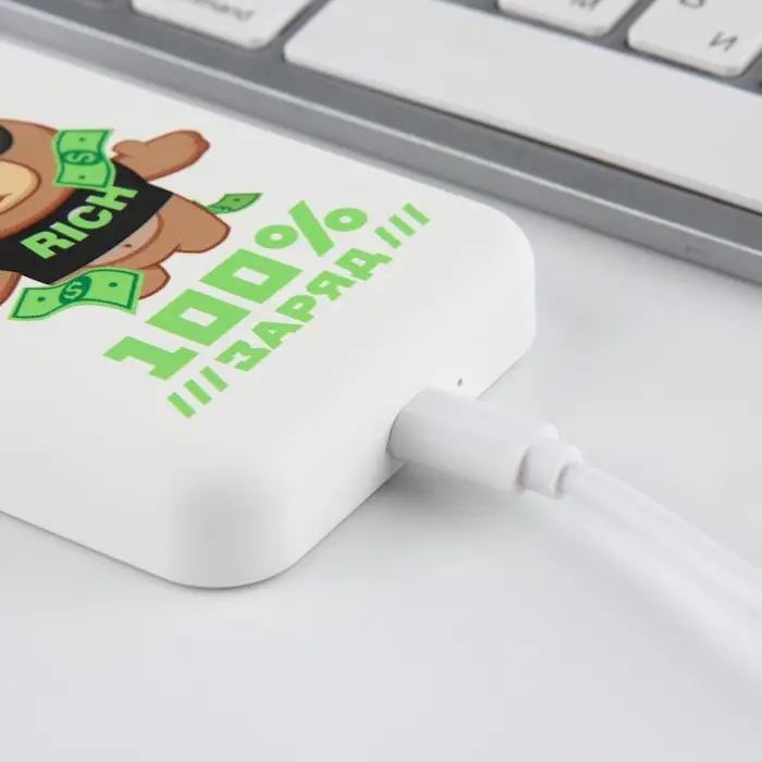 Зарядное устройство &laquo;100% заряд&raquo;, 5000мА