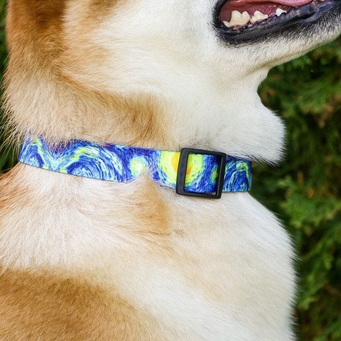 Ошейник «Искусство», застёжка - фастекс, 2.5 см, 40-55 см Ошейник «Искусство», застёжка - фастекс, 2.5 см, 40-55 см