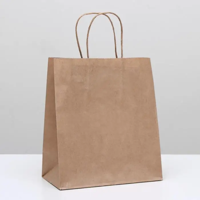 Пакет крафт без печати, круглая ручка 22×12×28 см Пакет крафт без печати, круглая ручка 22×12×28 см