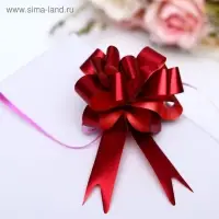 Бант - шар № 1.8 «Классика», красный