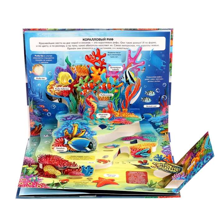 3D энциклопедия-панорамка «Море» 3D энциклопедия-панорамка «Море»