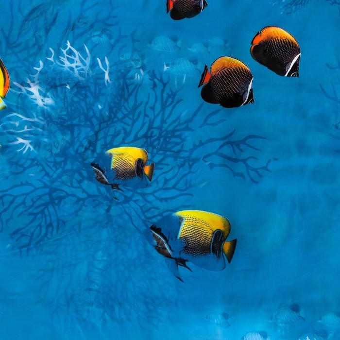 Штора для ванны Доляна «Рыбки», 180×180 см, EVA Штора для ванны Доляна «Рыбки», 180×180 см, EVA