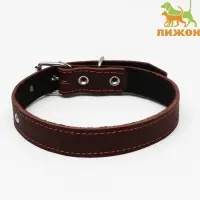 Ошейник кожаный на синтепоне, 65&times;3 см, ОШ 40-55 см, коричневый