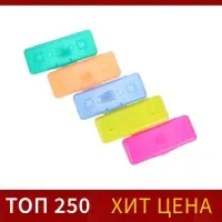 Пенал - футляр Calligrata &laquo;Школьный&raquo;, 80&times;205&times;38 мм, полупрозрачный. пластиковый, МИКС