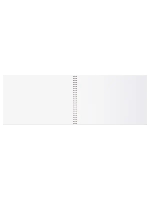 Альбом для рисования А4, 40 листов на гребне &laquo;Ван Кот&raquo;, блок офсет 100 г/м&sup2;, МИКС