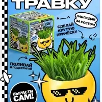 Набор для опытов, для детей &laquo;Выращиваем травку&raquo;, растение в горшочке - эмодзи &laquo;Крутой&raquo;