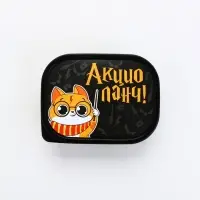 Ланч - бокс прямоугольный &laquo;Акцио ланч&raquo;, 500 мл