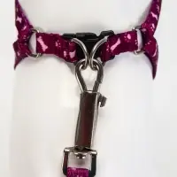 Шлейка с поводком &laquo;Классика&raquo;, ОГ 28-47 см, поводок 120&times;1 см, фиолетовая