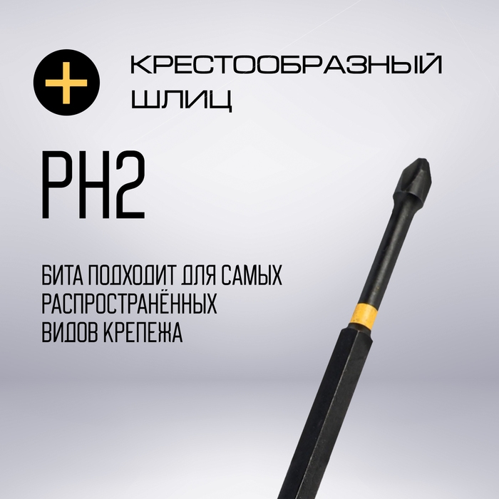 Бита ТУНДРА ПРОФИ, Torsion, сталь S2, PH2 х 150 мм, пластиковый кейс по 10 шт. Бита ТУНДРА ПРОФИ, Torsion, сталь S2, PH2 х 150 мм, пластиковый кейс по 10 шт.