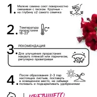 Семена цветов Петуния &laquo;Мамбо&raquo;, F1, пурпурная, многоцветковая, 7 шт., &laquo;Аэлита&raquo;