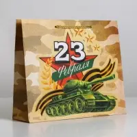 Пакет подарочный ламинированный, упаковка, &laquo;С 23 февраля&raquo;, ML 25&times;21&times;8 см