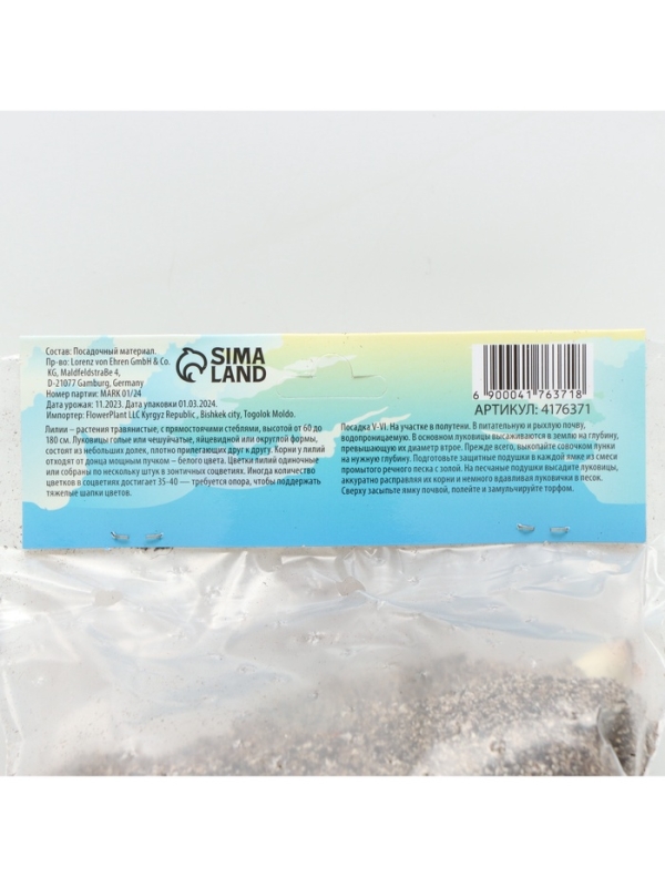 Лилия Азиатская «Ландини», луковица в пакете с перфорацией, р-р 12/14, 3 шт. Лилия Азиатская «Ландини», луковица в пакете с перфорацией, р-р 12/14, 3 шт.