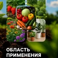 Органическое удобрение &laquo;Биогумус&raquo; Рецепты дедушки Никиты, концентрат, канистра 3 л