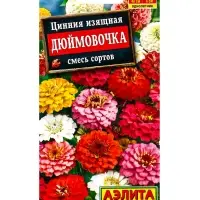 Семена цветов Цинния "Дюймовочка", смесь окрасок, О, 0,3 г