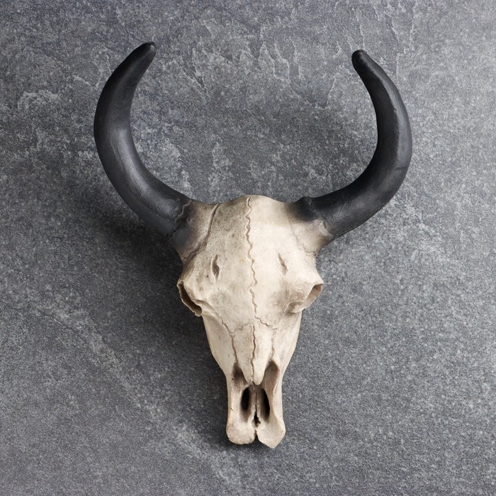 Настенный декор Настенный декор "Череп" 26*10*20см