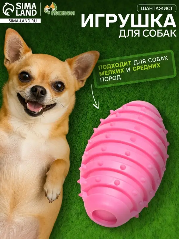 Жевательная игрушка для собак &laquo;Шантажист&raquo;, 10 см, TPR, розовая