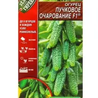 Семена Огурцов пучковые, 10 пакетов, разные сорта, &laquo;АЭЛИТА&raquo;