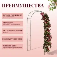 Арка садовая, 240&times;125&times;36.5 см, для вьющихся растений, металлическая, зелёная, Greengo