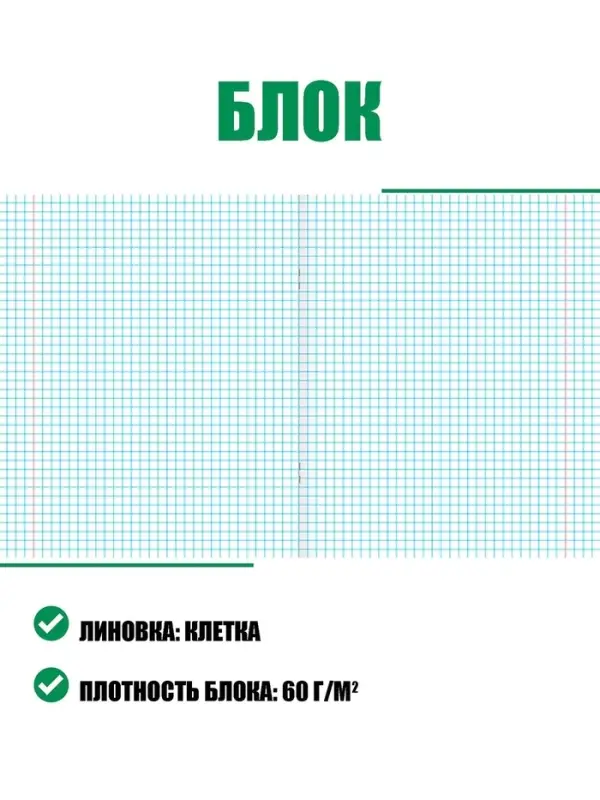 Набор тетрадей &laquo;Зелёная обложка&raquo; 20 штук, 24 листа в клетку, плотность 60 г/м&sup2;