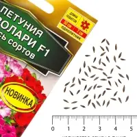 Семена цветов Петуния &laquo;Нуволари&raquo;, полуампельная, смесь сортов, F1, 5 шт., Farao, &laquo;АЭЛИТА&raquo;