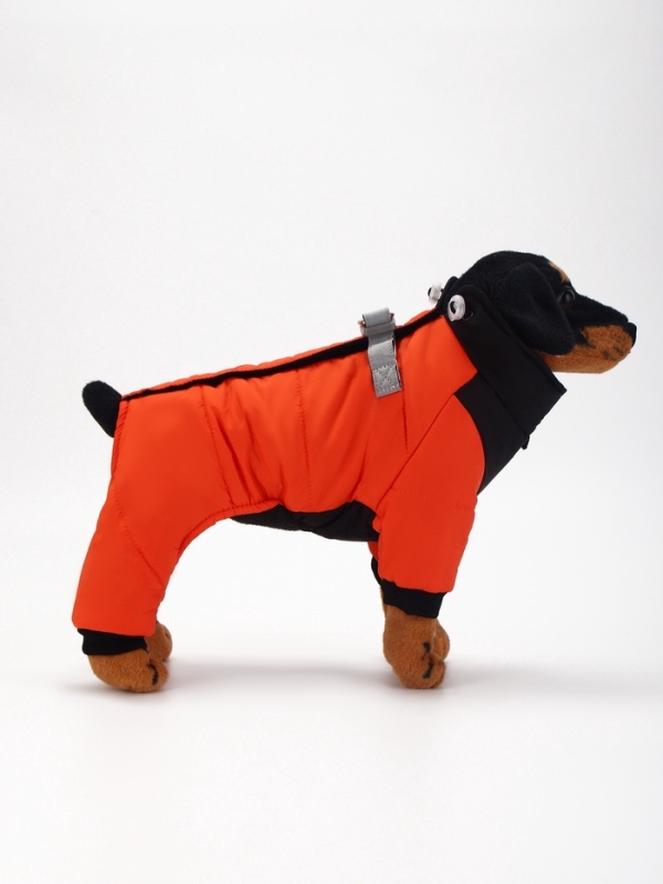 Комбинезон Комбинезон "Тренд", оксфорд, 2XL (ДС 43, ОШ 41, ОГ 53 см, вес 16-20 кг), оранжевый