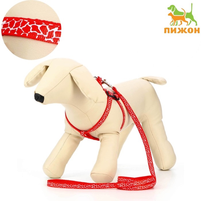 Комплект прошитый Комплект прошитый "Жираф", ширина 1 см, поводок 120 см, шлейка 23-35 см, красный