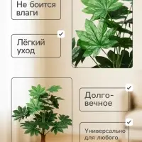 Дерево искусственное &laquo;Фатсия&raquo;, h=80 см
