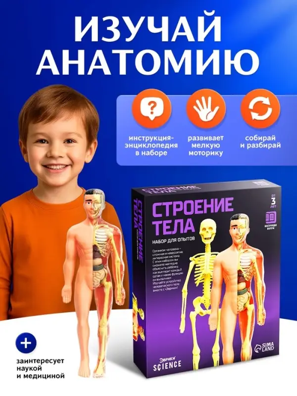 Набор для опытов &laquo;Строение тела&raquo;, анатомия человека