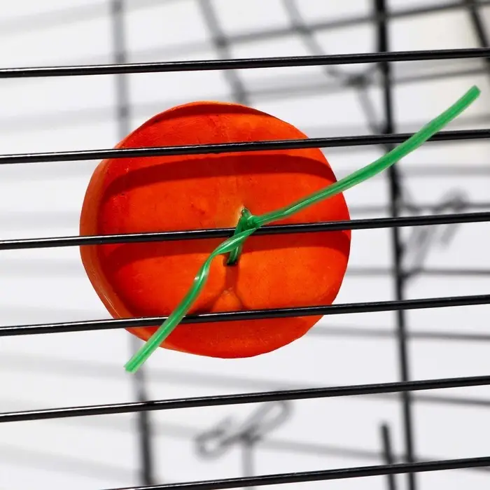 Минеральный камень Минеральный камень "Пижон" для грызунов, апельсин, 23 г