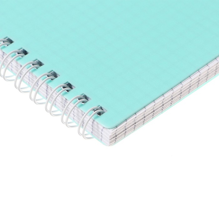 Тетрадь 80 листов в клетку на гребне CANVAS, пластиковая обложка, блок офсет, Бирюза