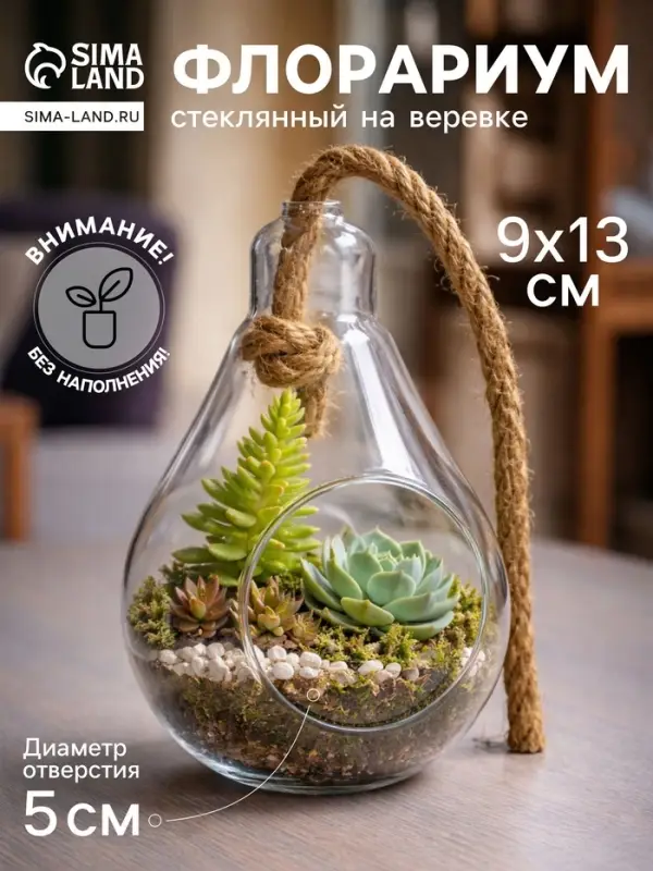 Флорариум &laquo;Лампа&raquo;, с веревкой, d отверстия 5 см, 9&times;9&times;13 см, стекло, прозрачный