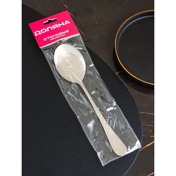 Ложка гарнирная из нержавеющей стали Доляна, h=22 см, толщина 2,2 мм, 410 сталь Ложка гарнирная из нержавеющей стали Доляна, h=22 см, толщина 2,2 мм, 410 сталь