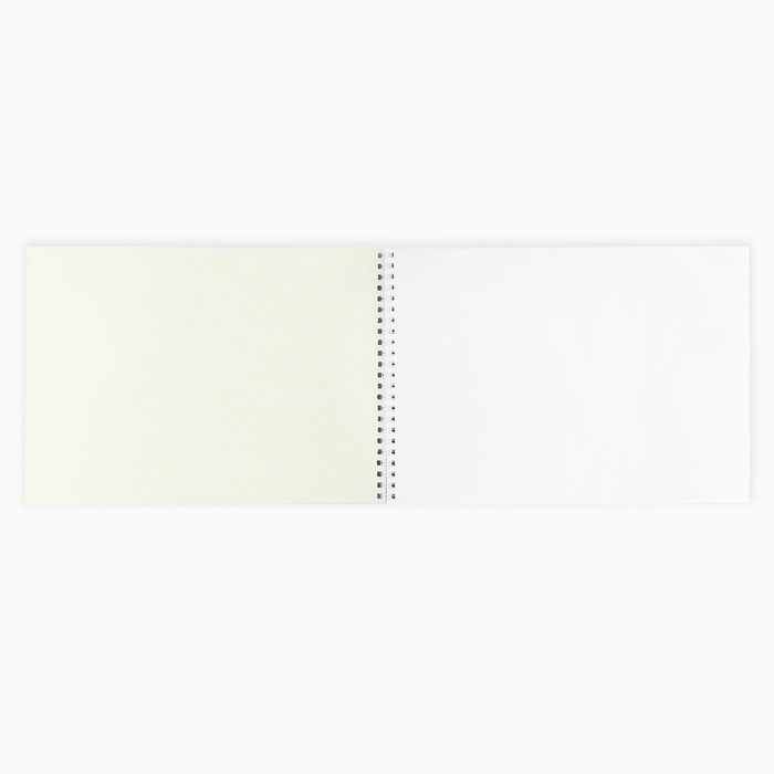 Альбом для рисования А4 48 листов на пружине «1 сентября: Леопард» Альбом для рисования А4 48 листов на пружине «1 сентября: Леопард»