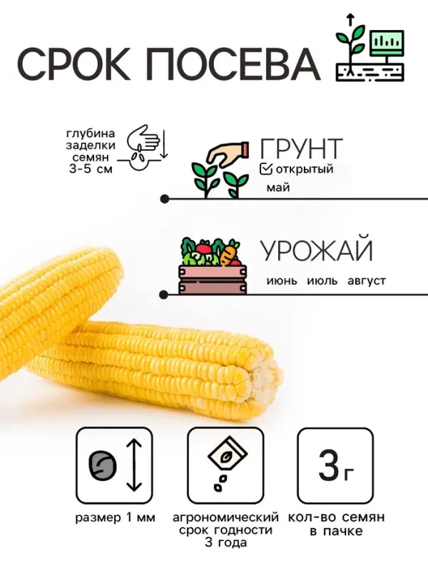 Семена Кукуруза &laquo;Краснодарский сахарный 250 CB&raquo;, 3 г, &laquo;Рецепты дедушки Никиты&raquo;