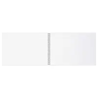 Альбом для рисования А4, 40 листов на гребне &laquo;Ван Кот&raquo;, блок офсет 100 г/м&sup2;, МИКС