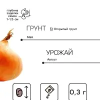 Семена Лук репчатый &laquo;Эксибишен&raquo;, 0.3 г, &laquo;Аэлита&raquo;