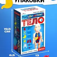Набор для опытов &laquo;Мое удивительное тело&raquo;